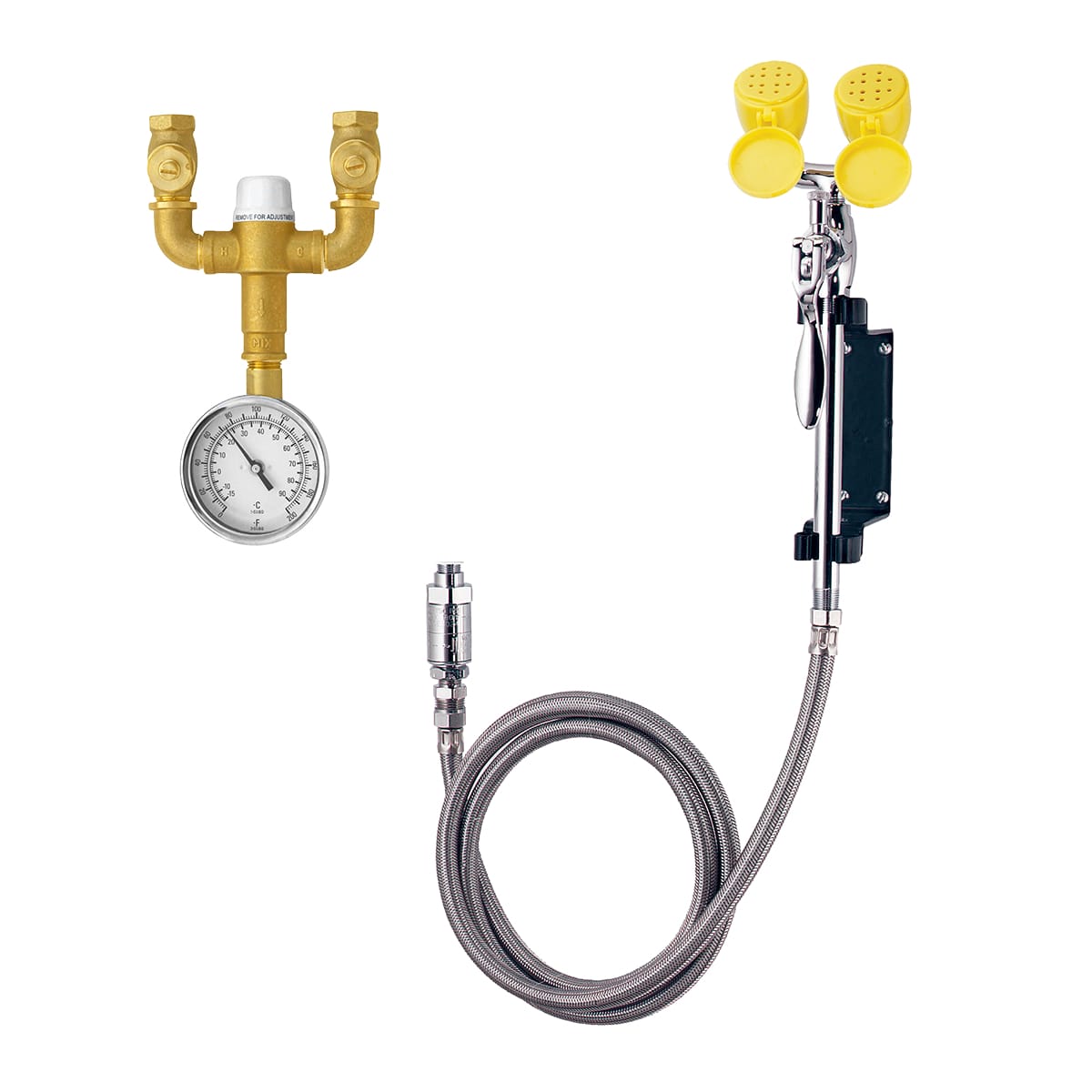 e06nk55m4nd1i79rq8vz