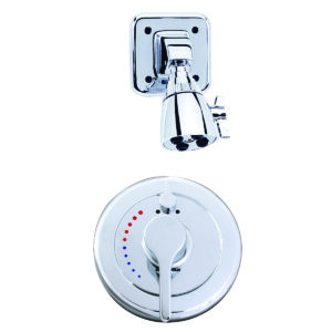 Sentinel Mark II Diverter Trim and Vandal Resistant Shower Combination
