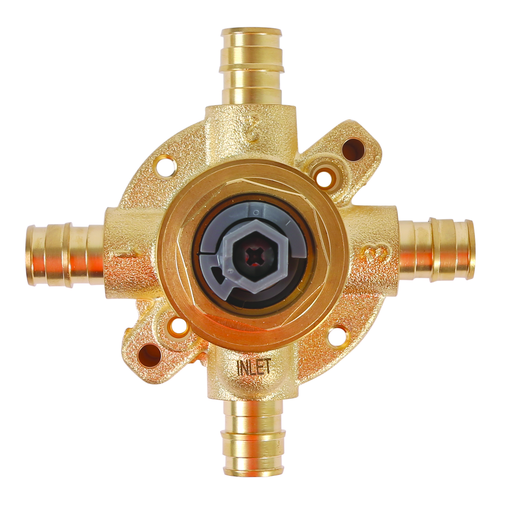 nbvd9xlqqjpm6ejdtk86