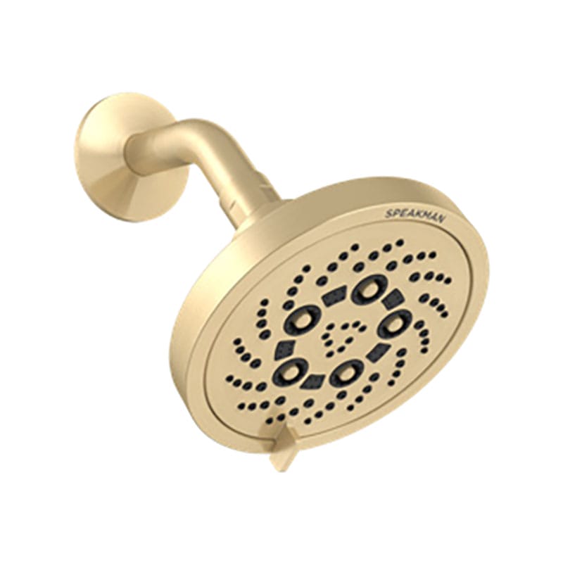 duo polished brass fixed showerhead